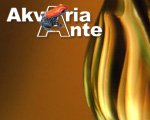 Akvariaante